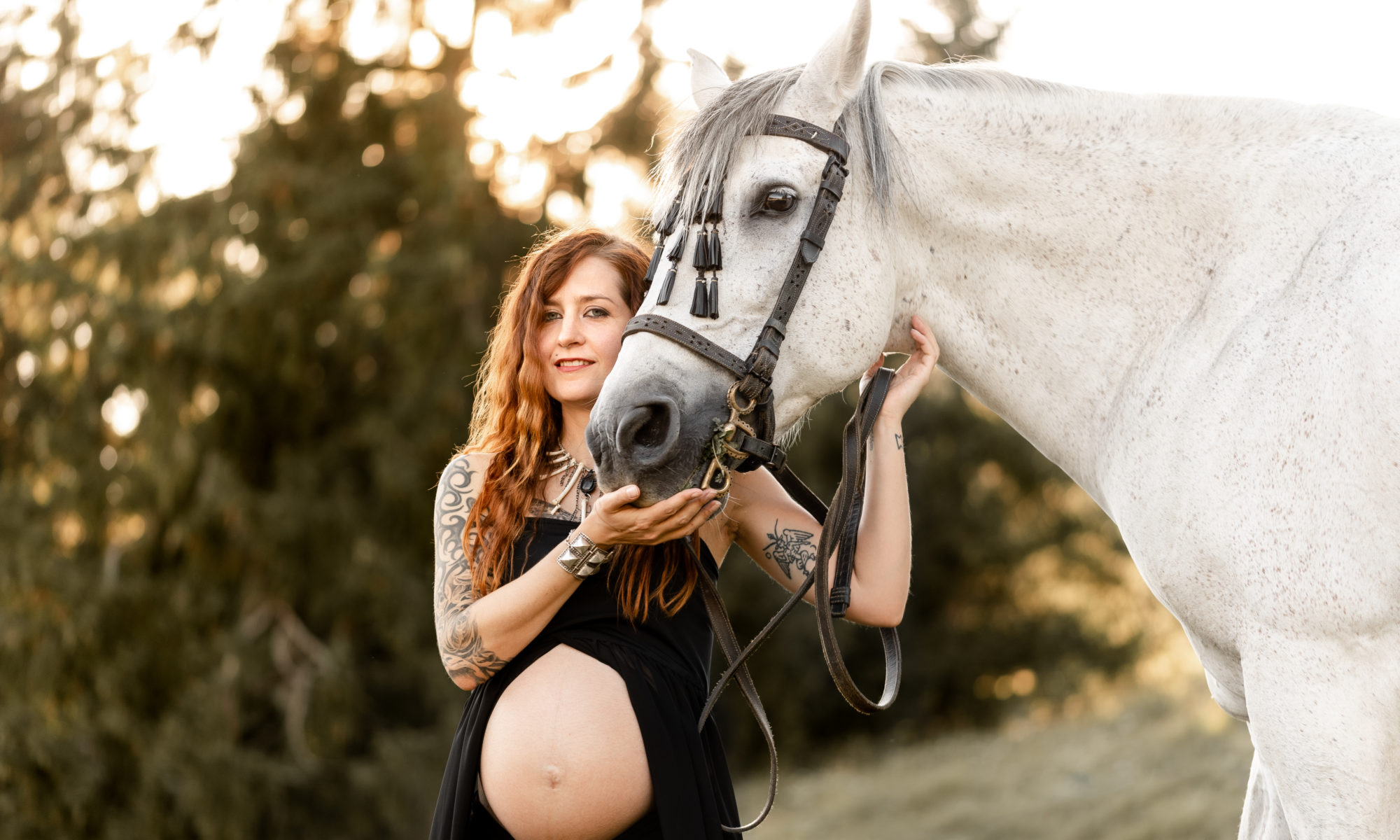 séance grossesse avec cheval