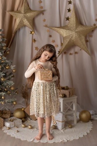 Trésor de Noël 2024 (1)